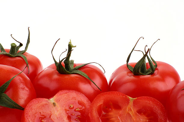Healthy tomatos stock photo