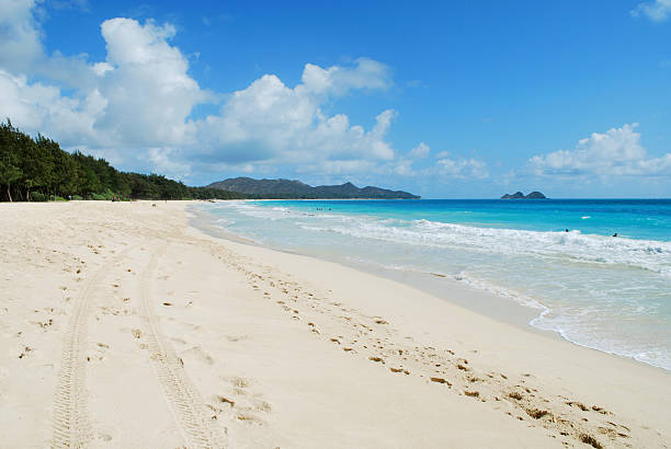 istock Waimanalo Beach, Oahu, Hawaii 183242000