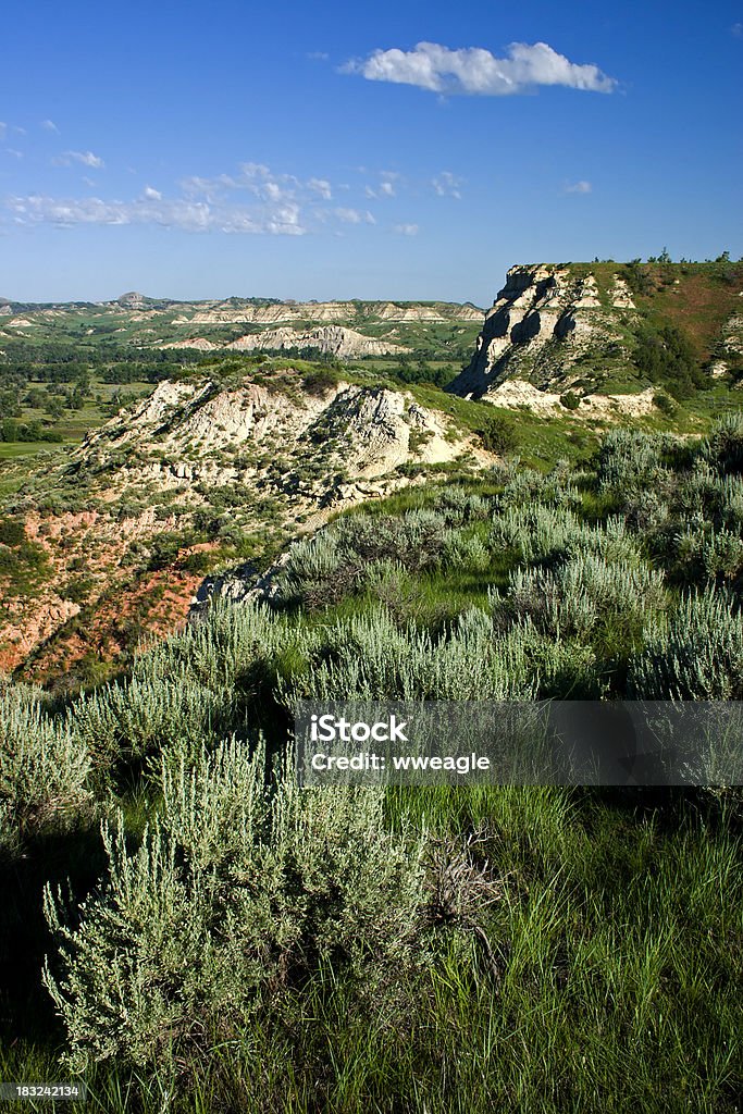 American-Plateau - Lizenzfrei Badlands-Nationalpark Stock-Foto