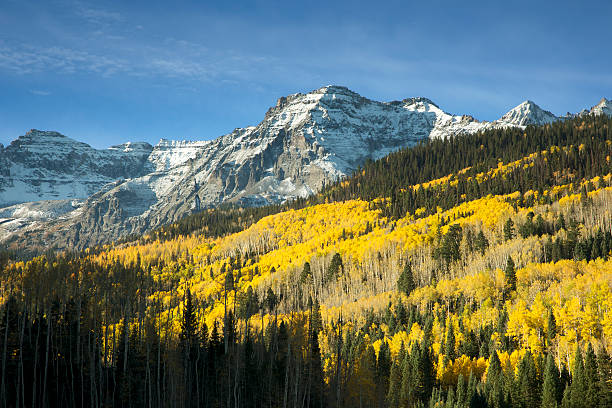 autunno foglie di aspen e scogliere ricoperte di neve da vicino a telluride, in colorado - uncompahgre national forest foto e immagini stock