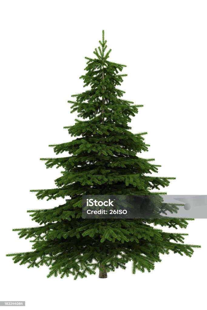 Weihnachtsbaum isoliert auf weißem Hintergrund-XXXL - Lizenzfrei Weihnachtsbaum Stock-Foto