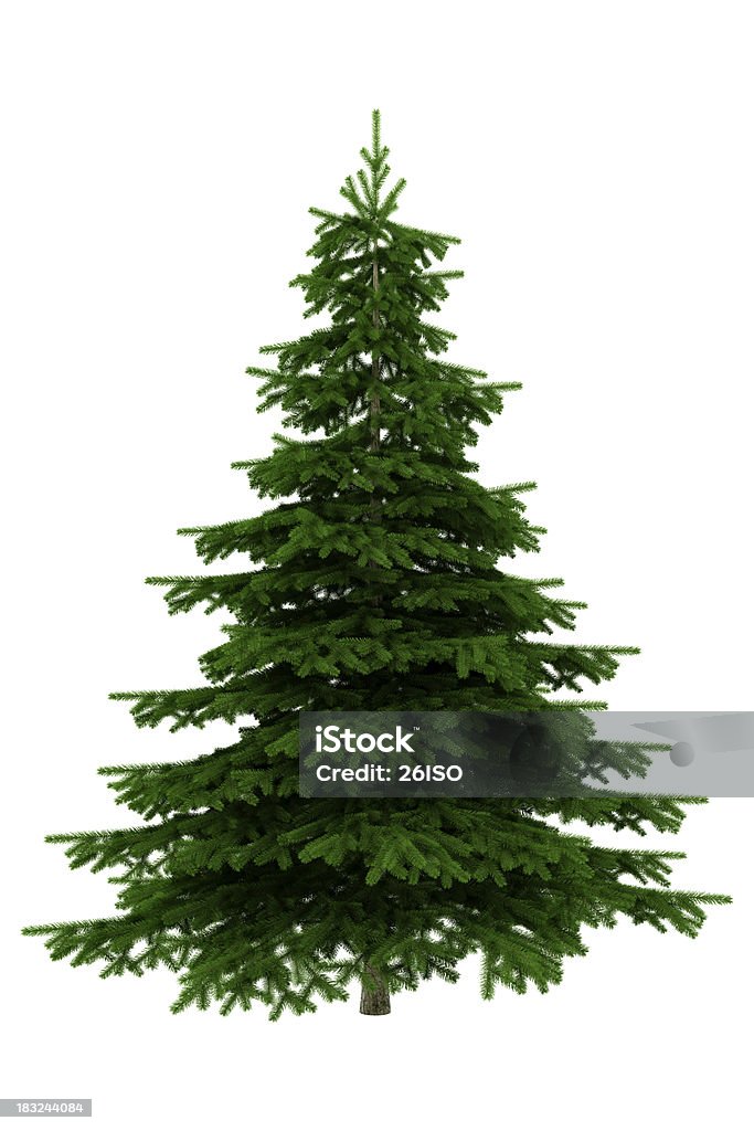 Árbol de Navidad aislado sobre fondo blanco, XXXL - Foto de stock de Árbol de navidad libre de derechos