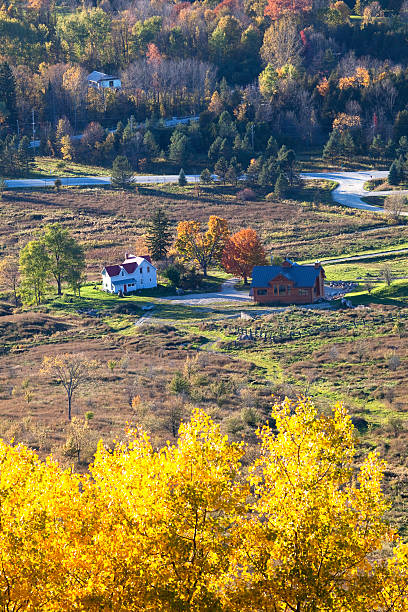 istock Fall Colours Of Ontario 183244152