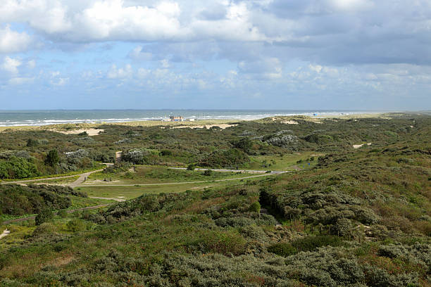 istock sand dunes along the Dutch coast 183244284