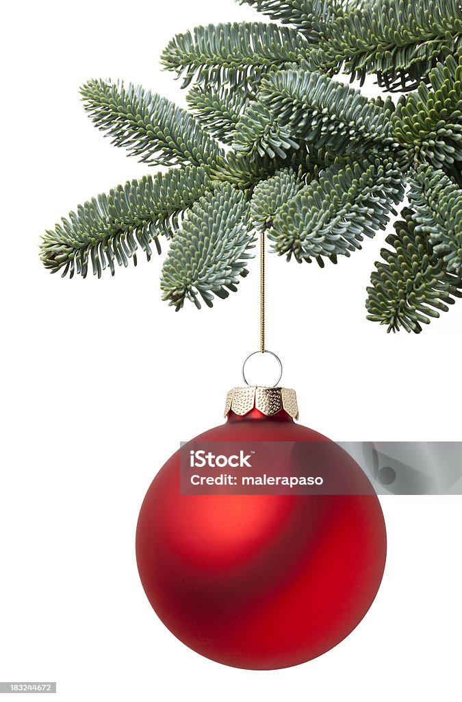 Christmas ball hängen auf einem fir tree branch - Lizenzfrei Christbaumkugel Stock-Foto