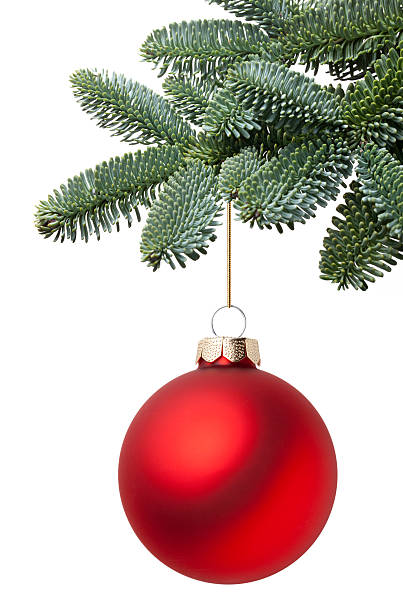 palla di natale appeso su un ramo di albero di abete - fir tree christmas tree isolated foto e immagini stock