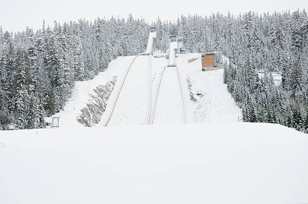 istock Long jump near Whistler, BC 183245013