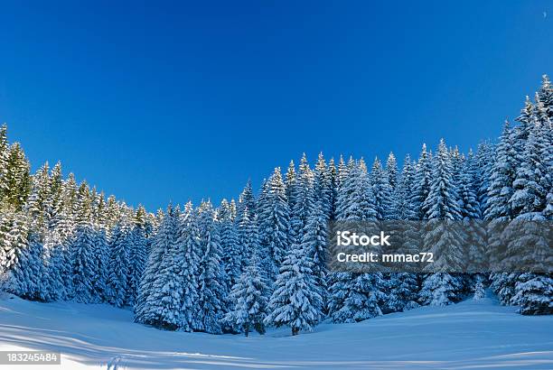 Paesaggio Invernale Con La Neve E Gli Alberi - Fotografie stock e altre immagini di Albero - Albero, Albero sempreverde, Ambientazione esterna