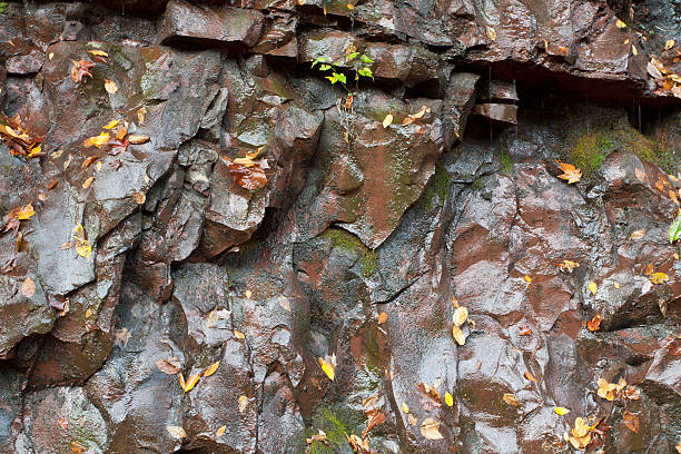 Wet Rock Wall stock photo