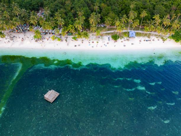 Aerial view of Paliton Beach, Siquijor, Philippines An aerial view of Paliton Beach, Siquijor, Philippines, with white sand and crystal clear turquoise blue water siquijor stock pictures, royalty-free photos & images