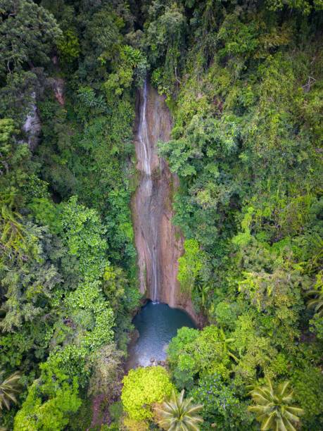 Top-down aerial view of Cangbangag Falls, Siquijor, Philippines A top-down aerial view of Cangbangag Falls, Siquijor, Philippines siquijor stock pictures, royalty-free photos & images