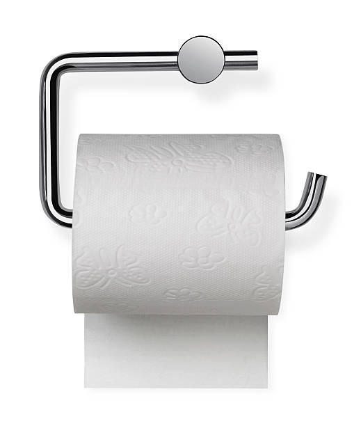 Photo of a chrome toilet roll holder and toilet roll.