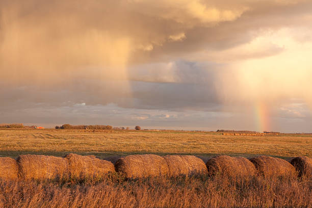 prairie tempestade - manitoba prairie landscape canada - fotografias e filmes do acervo