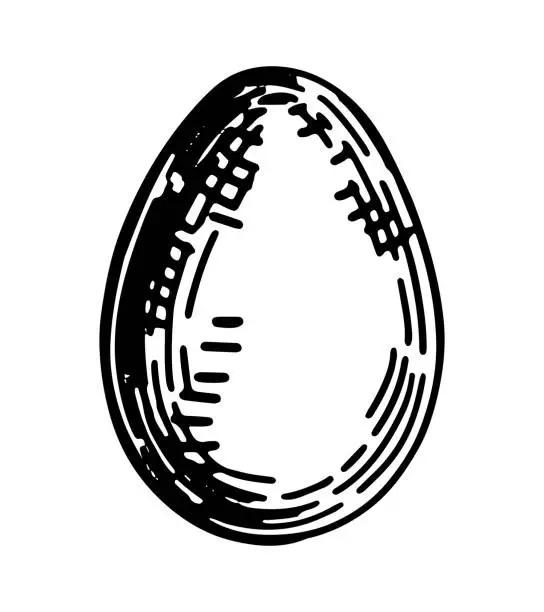 Vector illustration of Wild bird egg outline clipart. Spring time doodle. Vector illustration in engraving style isolated on white.