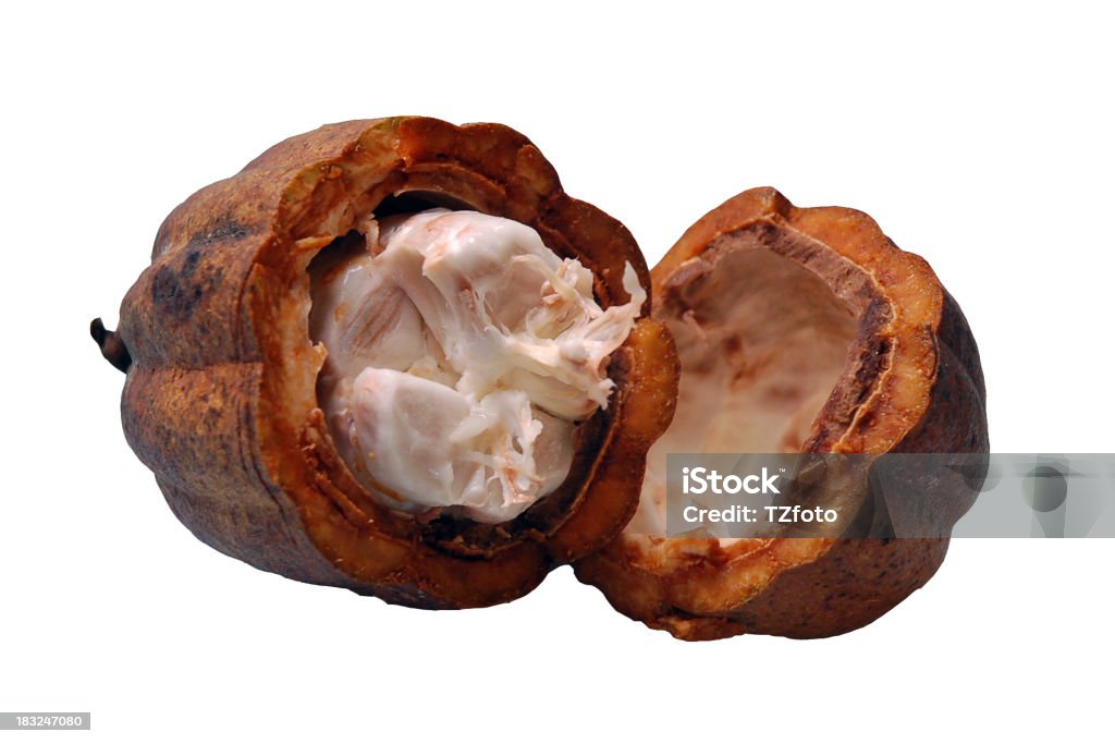 A cacao bean split down the middle with the inside visible Broken Cacao Bean on the white background.See my portfolio. Theobroma Stock Photo