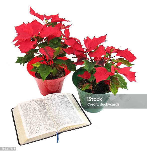 Christmas Poinsettias And Bible Stock Photo - Download Image Now - Bible, Book, Christianity