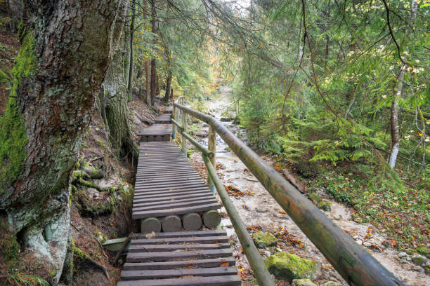 istock A wooden footbridge over a stream in autumn forest. 1832472206