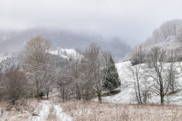 istock Winter landscape with snowy trees and mountains at hazy day. 1832472228