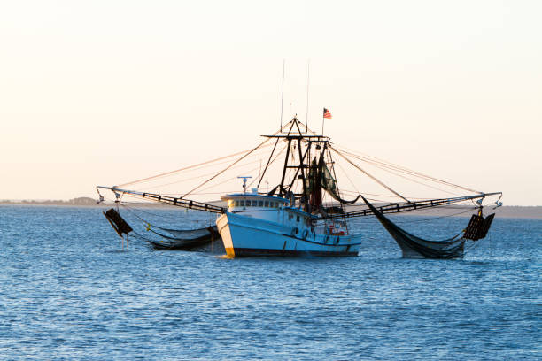 istock Shrimp Fishing Boat With Nets Out 183247704