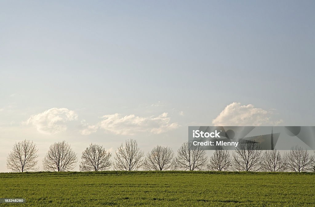 Bellissimo paesaggio di primavera - Foto stock royalty-free di Agricoltura