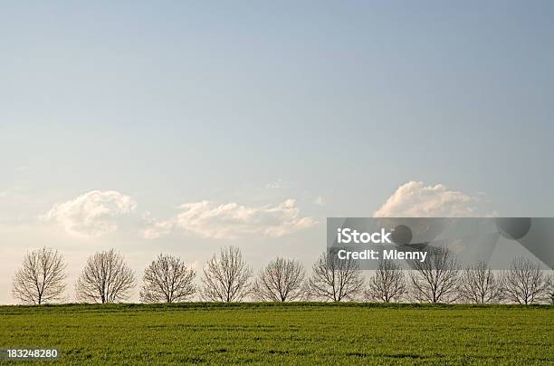 Bellissimo Paesaggio Di Primavera - Fotografie stock e altre immagini di Agricoltura - Agricoltura, Albero, Ambientazione esterna