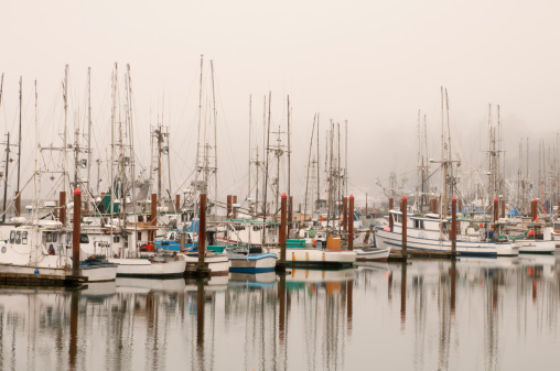 Foggy harbor with vintage fishing boats at the docks. Room for text top and bottom.