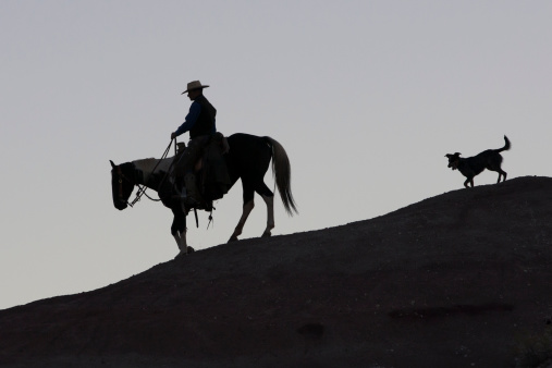 Horse and rider are followed by dog on silhouetted ridgeline.Click on the following banner to see more images: