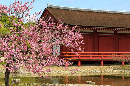 Nara palace site historical park 'Heijo-kyo' in Nara City, Nara Prefecture in Japan. (Taken on 04-03-2014)