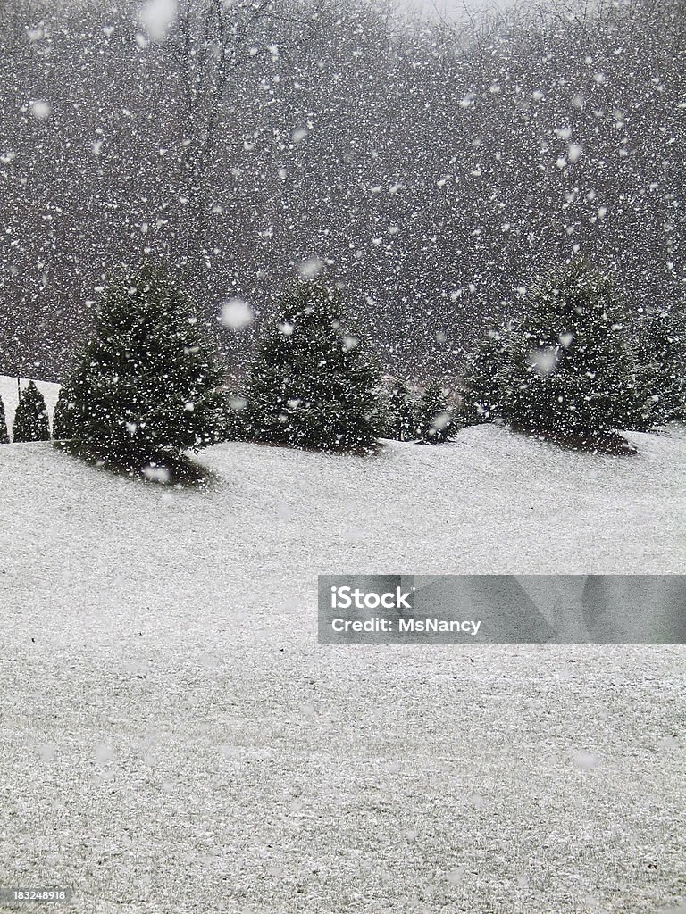 Śnieżyć w wiosennym - Zbiór zdjęć royalty-free (Bez ludzi)