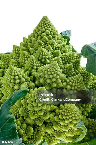 Romanesco Brokkoli Isoliert Gegen Weiße Stockfoto und mehr Bilder von Blumenkohl - Blumenkohl, Brokkoli, Farbbild