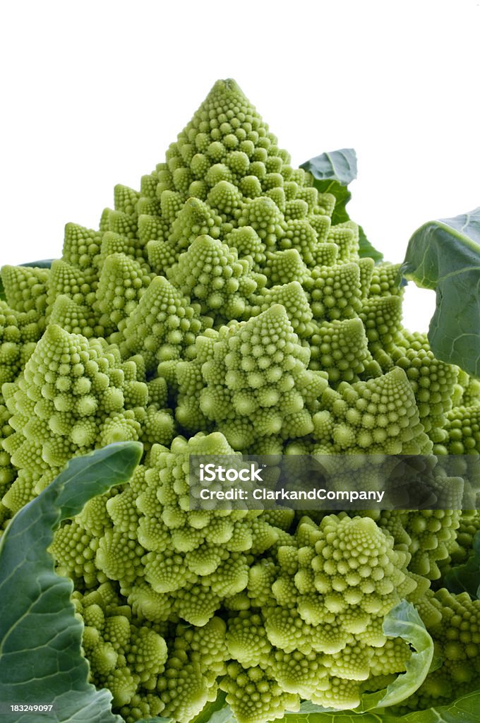 Romanesco Brocoli isolé contre blanc. - Photo de Aliment libre de droits