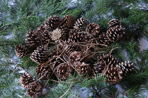 Christmas spirit natural cones composition England