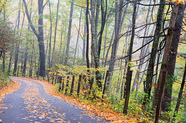 "smoky góra jesień drogi serii" - gatlinburg road winding road tennessee zdjęcia i obrazy z banku zdjęć