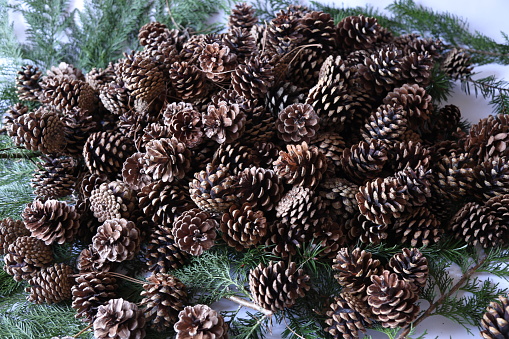 Christmas spirit natural cones composition England