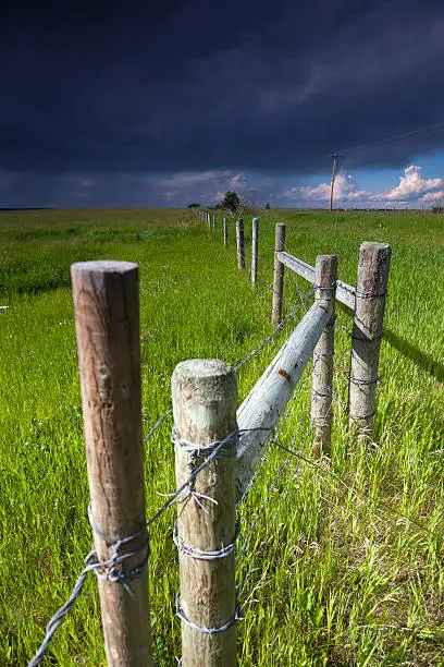 Rural fenceposts in the sunshine with approaching storm.