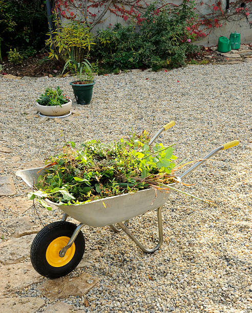 istock Wheelbarrow and Leaves for Composting 183249472