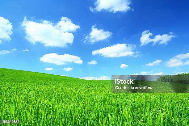 Зеленое Поле И Белые Облака На Голубое Небо — стоковые фотографии и другие картинки Весна - Весна, Ветер, Возвышенность