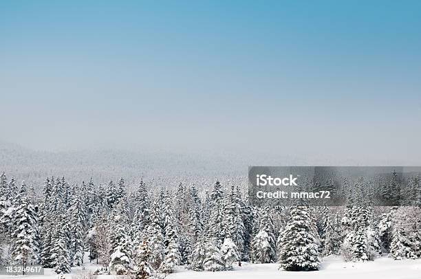 Paisagem Do Inverno Com Neve E Árvores - Fotografias de stock e mais imagens de A nevar - A nevar, Ajardinado, Ao Ar Livre