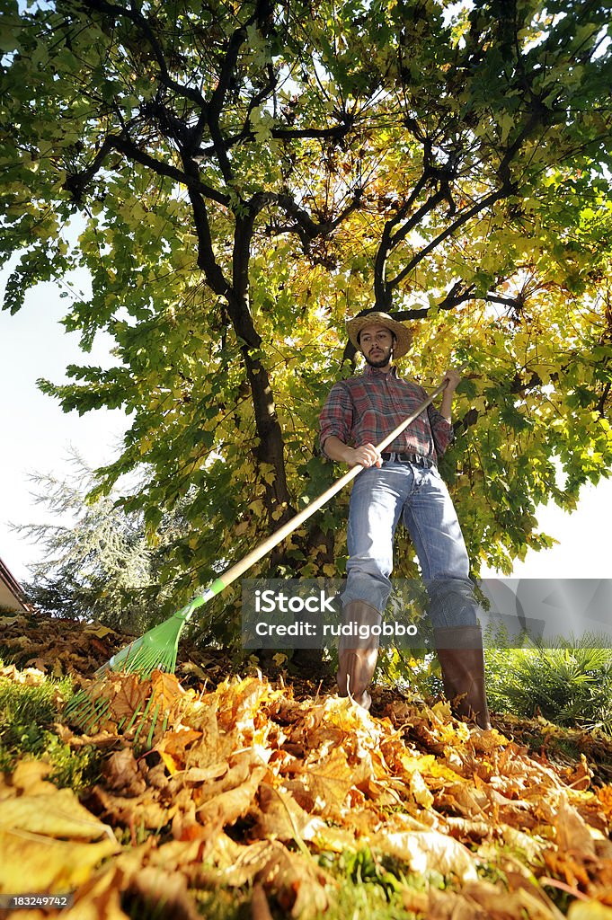 Feuilles cumuler - Photo de Adulte d'âge moyen libre de droits