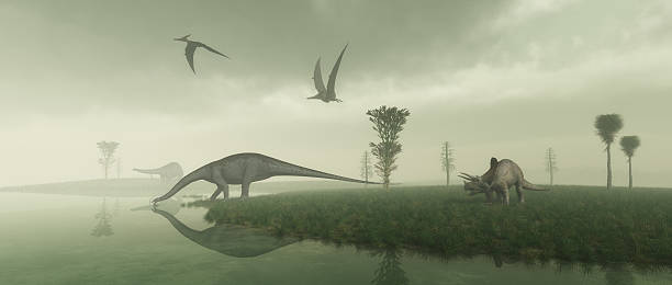 Prehistoric Scene Prehistoric scene. Includes 2 Apatosaurus, also known as a Brontosaurus, drinking from a lake as well as a Triceratops and Pteranodon. prehistoric era stock pictures, royalty-free photos & images