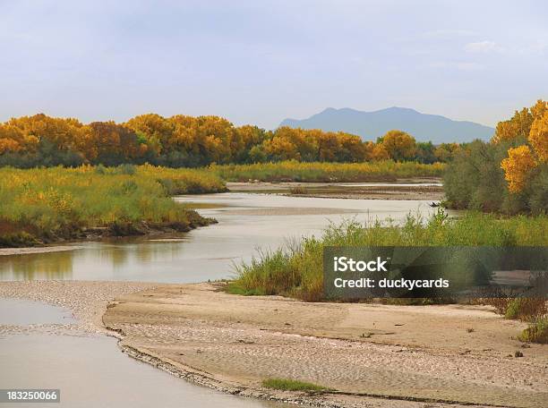 Rio Grande And Cottonwoods In Autumn Stock Photo - Download Image Now - New Mexico, Rio Grande - USA and Mexico, Landscape - Scenery