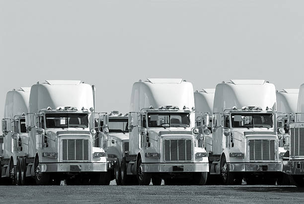 moderna flotta di camion in monocromatico - gruppo medio di oggetti foto e immagini stock