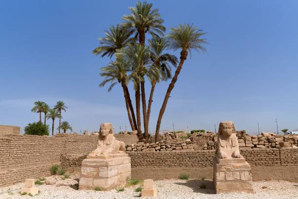 istock some stone statues and palm trees in a desert area next to a brick wall 1832504877