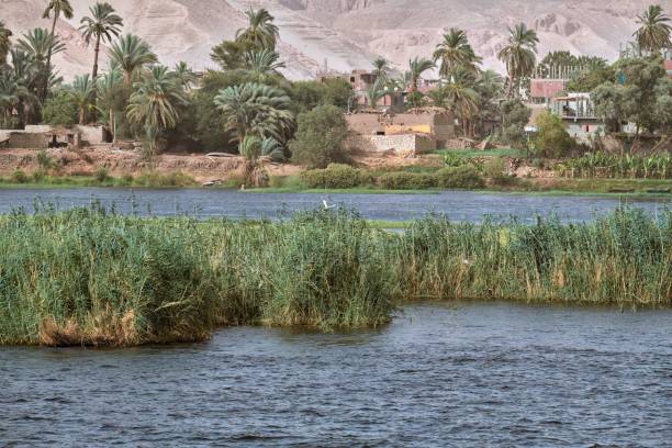 The Nile River passing through a small town near Aswan with its palm trees on the shore.
