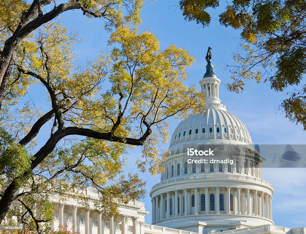 United States Capitol Dome rodeado por palmeras en otoño - Foto de stock de Edificio del Capitolio - Washington DC libre de derechos
