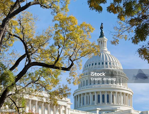 United States Capitol Dome È Fiancheggiato Da Alberi In Autunno - Fotografie stock e altre immagini di Capitol Building