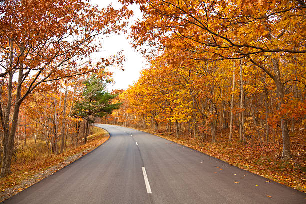 istock Country Road in the Fall 183250534
