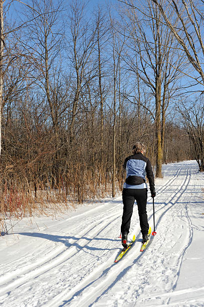 여성, 크로스 컨트리 스키, 겨울 스포츠. - clear sky ski footpath snow 뉴스 사진 이미지