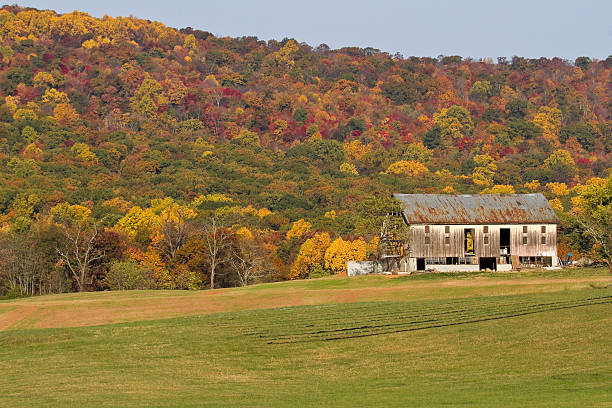 istock Old Barn Against Autumn Colors 183251053