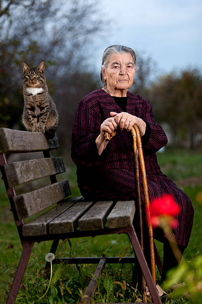 retrato de mulher idosa e gato sentado no banco ao ar livre - senior1 imagens e fotografias de stock